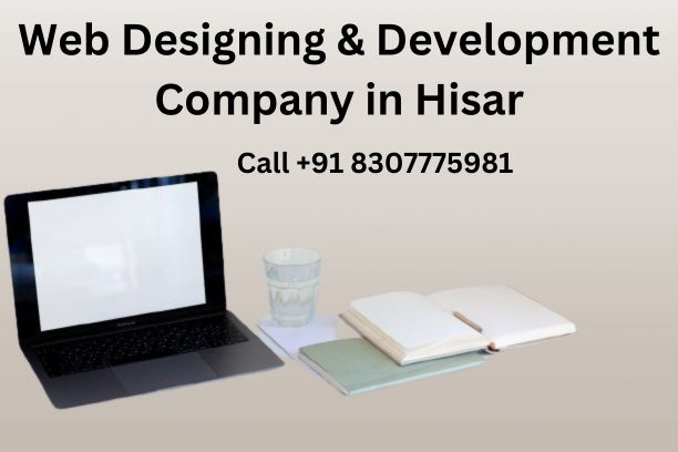 Top 5 Web Designing & Development Company in Hisar