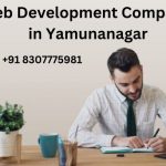 Top 8 Web Development Company in Yamunanagar