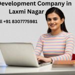 Top 5 Web Development Company in Laxmi Nagar