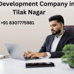 Top web development company in Tilak Nagar