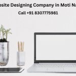 Top 5 Website Designing Company in Moti Nagar