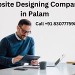 Website Designing Company in Palam