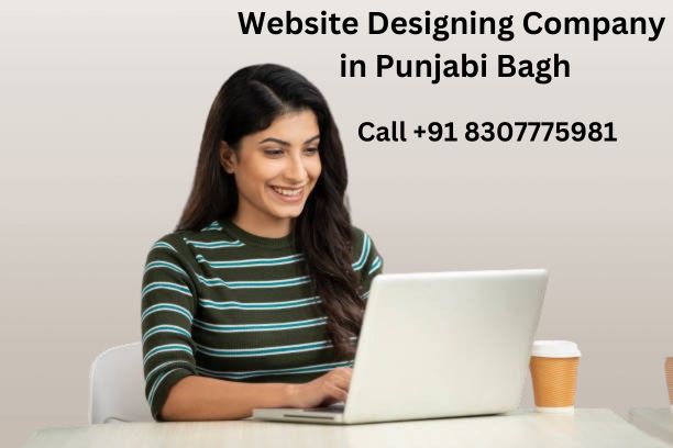 Website Designing Company in Punjabi Bagh