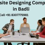 website designing company in Badli