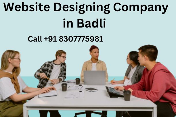 website designing company in Badli