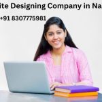 website designing company in Naraina