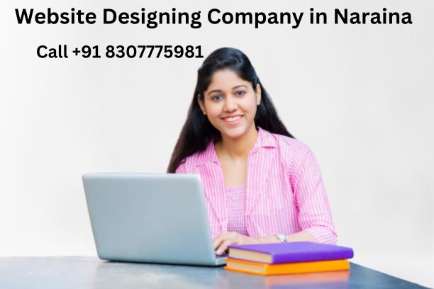 website designing company in Naraina