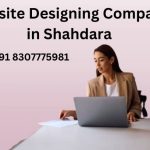 Top web designing companies in Shahdara