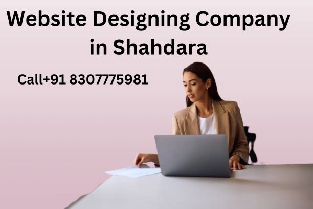 Top web designing companies in Shahdara