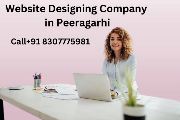 website designing company in Peeragarhi